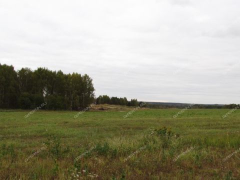 poselok-nizhegorodec-dalnekonstantinovskiy-rayon фото