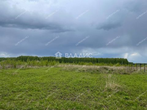 selo-ostankino-gorodskoy-okrug-bor фото