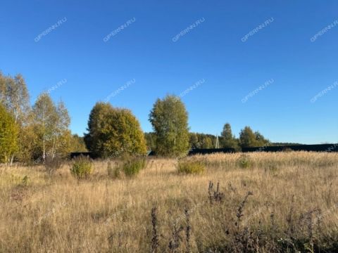 selo-raznezhe-vorotynskiy-gorodskoy-okrug фото