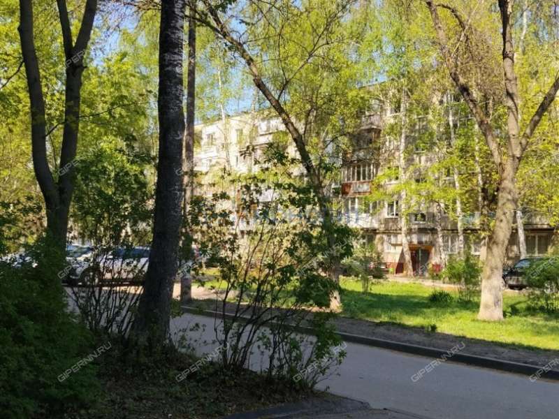 двухкомнатная квартира на улице Дьяконова дом 40 к1
