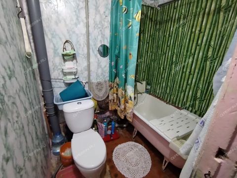 2-komnatnaya-derevnya-prokoshevo-kstovskiy-rayon фото