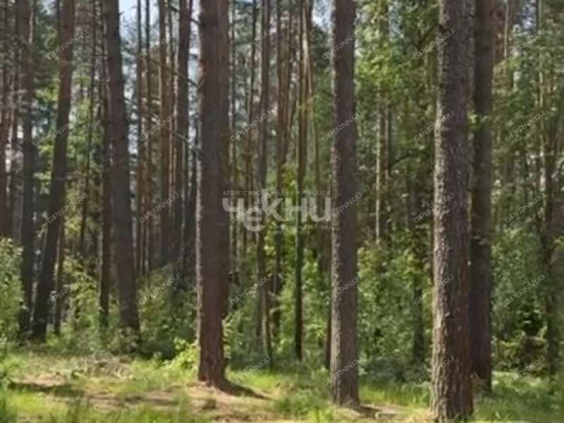 земельный участок 15 соток деревня Зуево