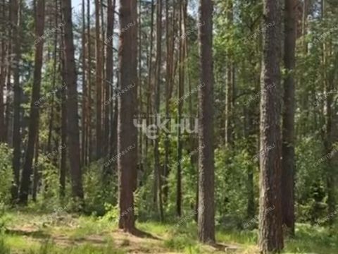 derevnya-lindo-usad-gorodskoy-okrug-bor фото