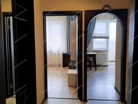 1-komnatnaya-derevnya-afonino-kstovskiy-rayon фото