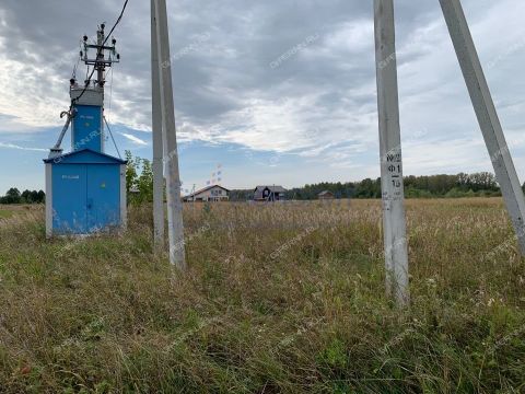 derevnya-prudy-bogorodskiy-municipalnyy-okrug фото