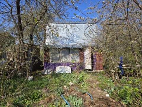 dacha-ul-radishheva фото