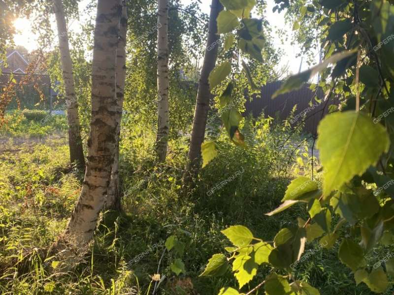 земельный участок 850 соток деревня Большой Суходол