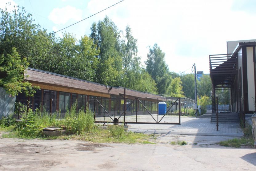 Фото: Ксения Ражева / gipernn.ru