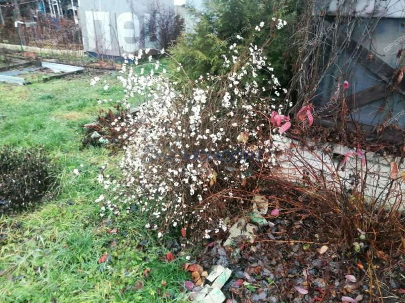 дача на улице Массив-2 город Бор