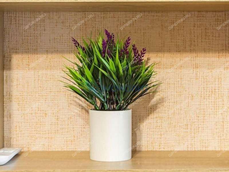 квартира-студия на Бурнаковской улице дом 93