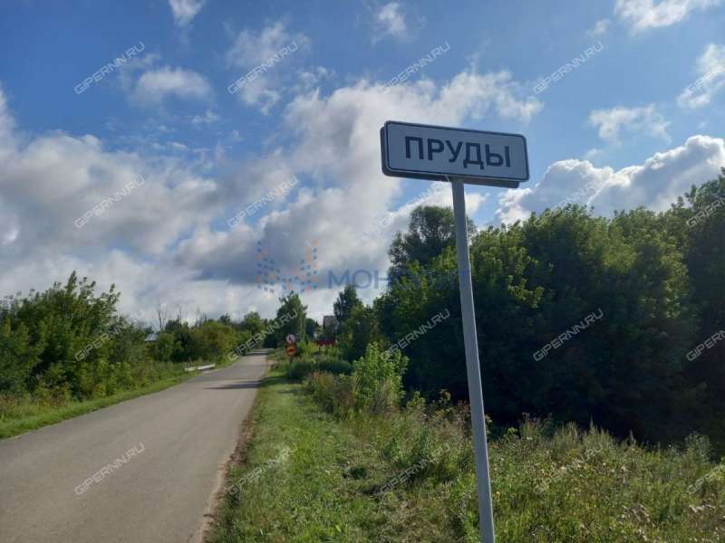 земельный участок 80 соток деревня Пруды