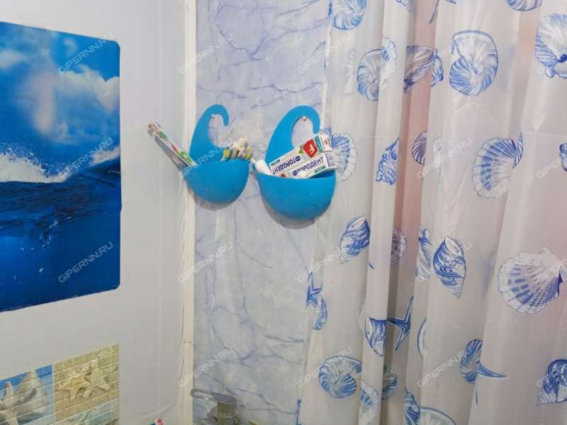 однокомнатная квартира на улице Грибоедова дом 19 город Дзержинск