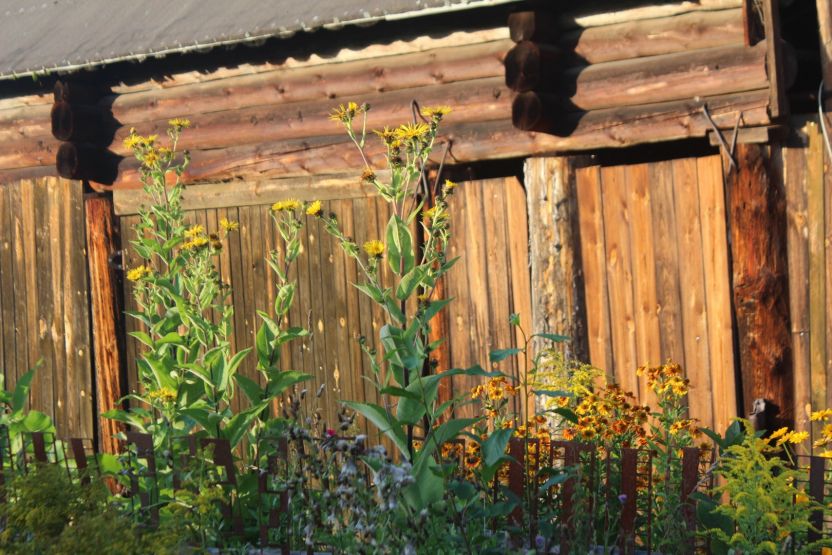 Фото: Ксения Ражева / gipernn.ru