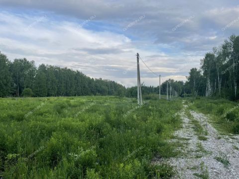 selo-redkino-redkinskiy-selsovet-gorodskoy-okrug-bor фото