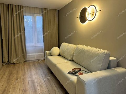 2-komnatnaya-ul-plotnikova-d-5 фото