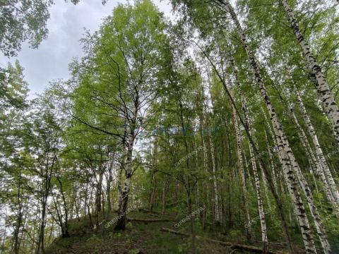derevnya-besedy-gorodskoy-okrug-chkalovsk фото