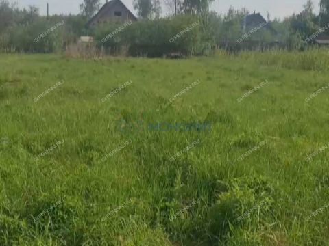 selo-timonkino-gorodskoy-okrug-chkalovsk фото