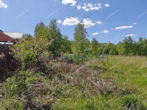 gorod-bor-gorodskoy-okrug-bor фото