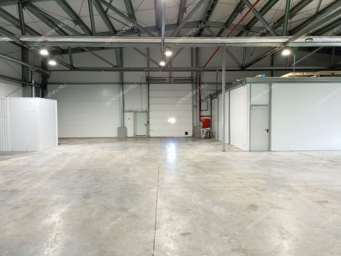 kominterna-d-39lits4 фото