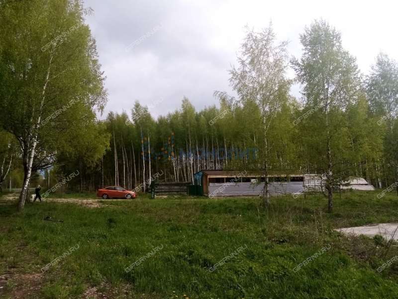 земельный участок 20 соток - деревня Чуркино (Зиняковский сельсовет