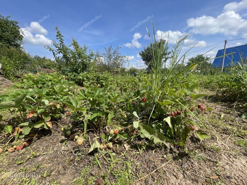 дача на  Дружба-86 снт