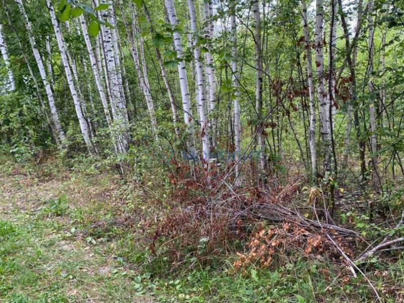 земельный участок под сельхоз назначение в Богородском районе Нижегородской области