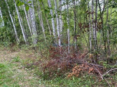 poselok-krasnyy-kirpichnik-bogorodskiy-municipalnyy-okrug фото