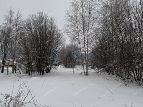 selo-diveevo-diveevskiy-municipalnyy-okrug фото