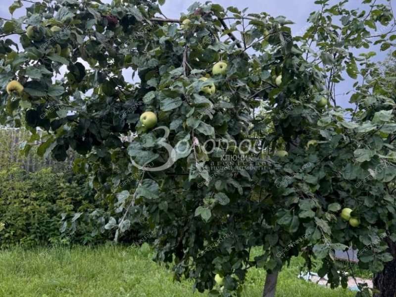 дом на улице Приволжская село Михайловское