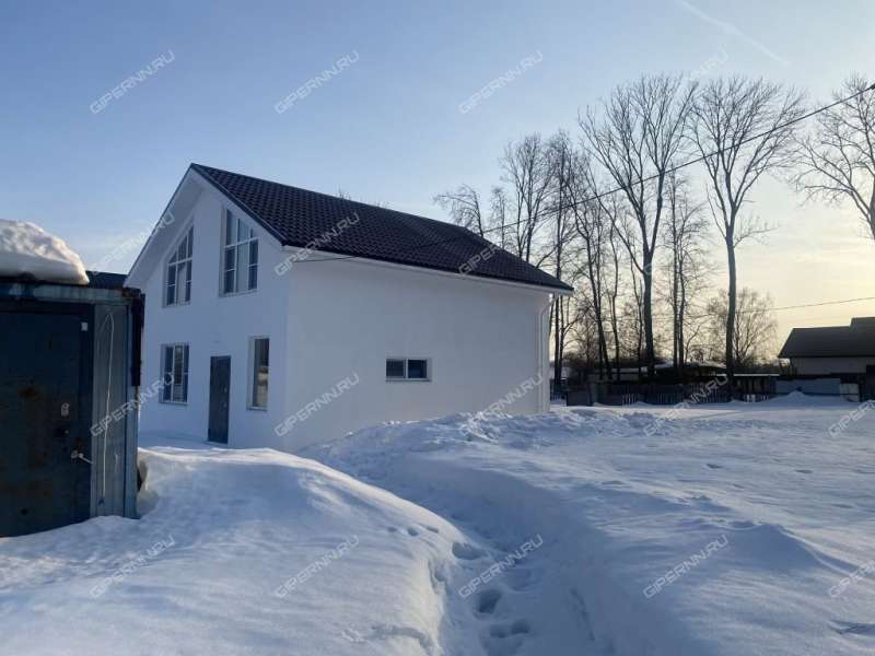 дом на Вишнёвой улице село Доскино