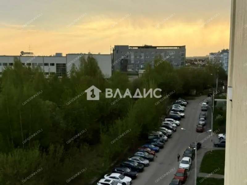 двухкомнатная квартира на Академической улице дом 6 деревня Афонино