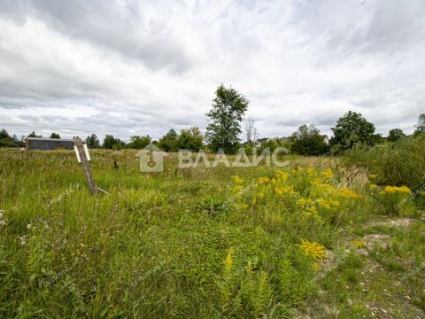 derevnya-prudy-bogorodskiy-municipalnyy-okrug фото