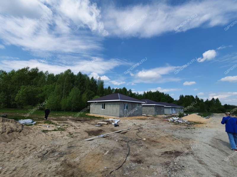 дом на Героя Демина ул. деревня Пруды