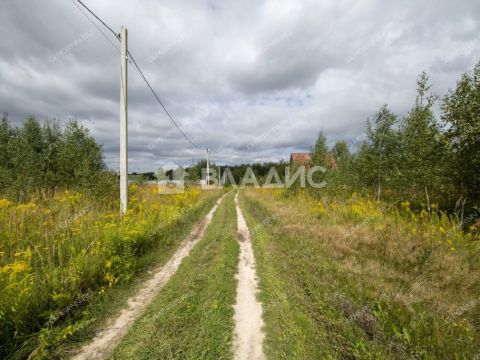 selo-spirino-bogorodskiy-municipalnyy-okrug фото