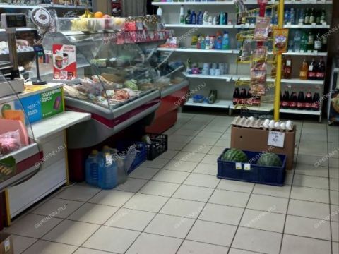 selo-kamenki-bogorodskiy-municipalnyy-okrug фото