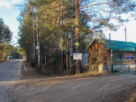 dom-poselok-kerzhenec-gorodskoy-okrug-bor фото