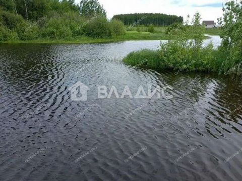 derevnya-krasteliha-bogorodskiy-municipalnyy-okrug фото