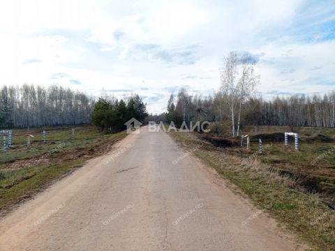 derevnya-inyutino-bogorodskiy-municipalnyy-okrug фото