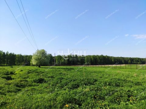derevnya-mednikovo-gorodskoy-okrug-chkalovsk фото