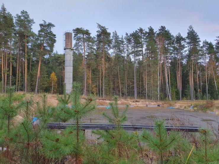 Фото: Ксения Ражева