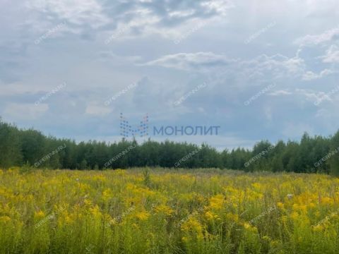 derevnya-zaozere-bogorodskiy-municipalnyy-okrug фото