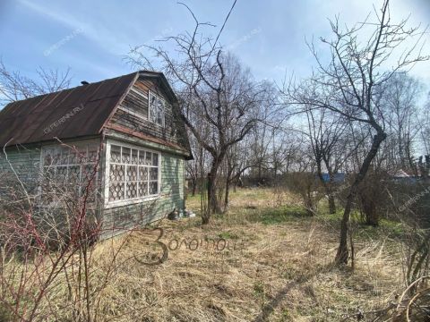 derevnya-syrohvatovo-gorodskoy-okrug-bor фото