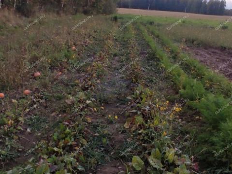 derevnya-tkalino-gorodeckiy-rayon фото