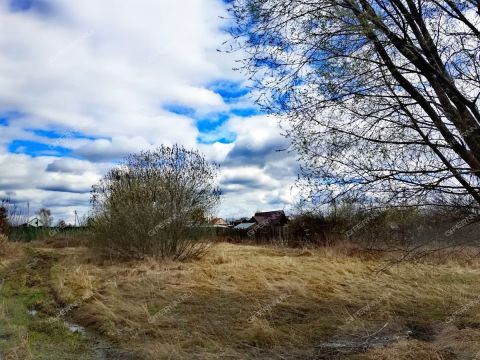 derevnya-zmeyka-gorodskoy-okrug-vyksa фото