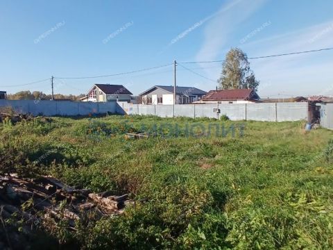 derevnya-gremyachki-bogorodskiy-municipalnyy-okrug фото