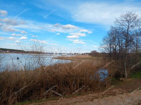 derevnya-inyutino-bogorodskiy-municipalnyy-okrug фото