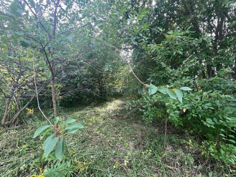 земельный участок 11 соток - село Федяково