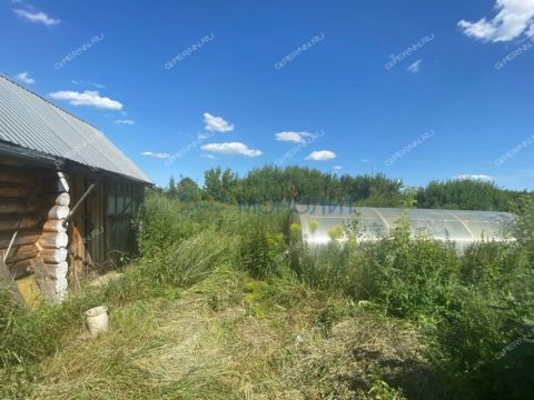 dom-selo-krasnyy-vatras-spasskiy-rayon фото