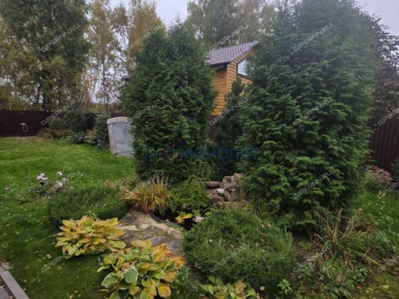 дом на - деревня Жеховская