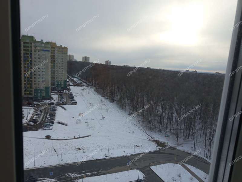 двухкомнатная квартира на улице Академика Чазова дом 1